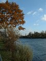 arbre_rouge