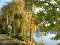 automne_chatou