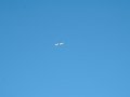 avion