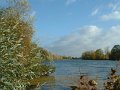 chatou_seine_large