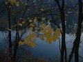 croissy_a_l_automne