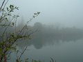 la_seine_chatou