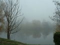 la_seine_chatou_2