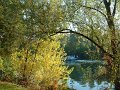 peniche_bord_de_seine_chatou