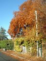 portail_croissy