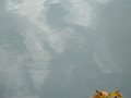 seine5