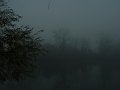 seine_brouillard