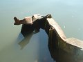 seine_carrieres