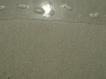 085_eau