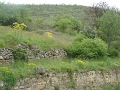 08_cevennes