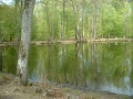 102_mare_aux_canes