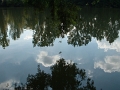 283_reflet