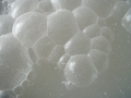 350_bulles