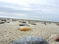 030_treguennec_bretagne_2005