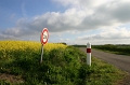 170_lande_bretagne_2005