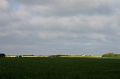 175_lande_bretagne_2005