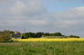 176_lande_bretagne_2005