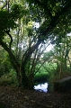 246_pont_l_abbe_bretagne_2005