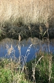 247_pont_l_abbe_bretagne_2005