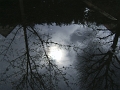 134_reflet