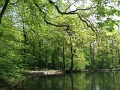 174_mare_aux_canes