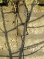061_chatou