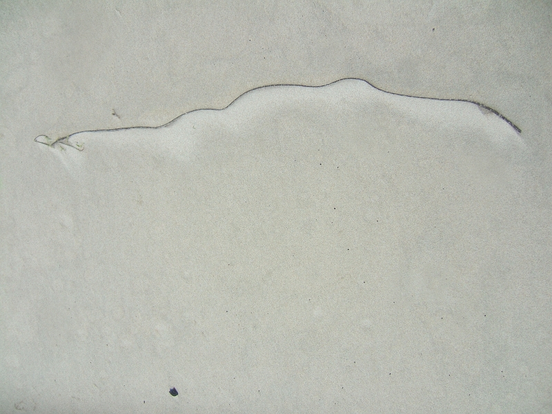 029_treguennec.JPG