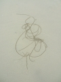 017_treguennec