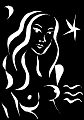 NOIR3