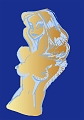 buste_sur_fond_bleu