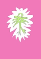oiseau_sur_fond_rose_2