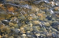 IMG_9184