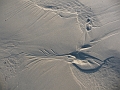 P1000878