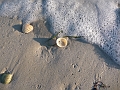 P1000979