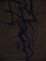 P1010040