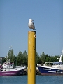 P1020089
