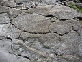 P1020115