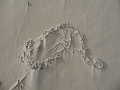 P1030903