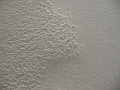 P1030914