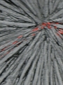 perfoeuvres16_079