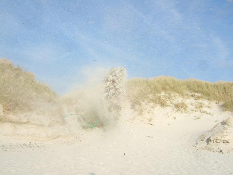 DSCF6905.JPG
