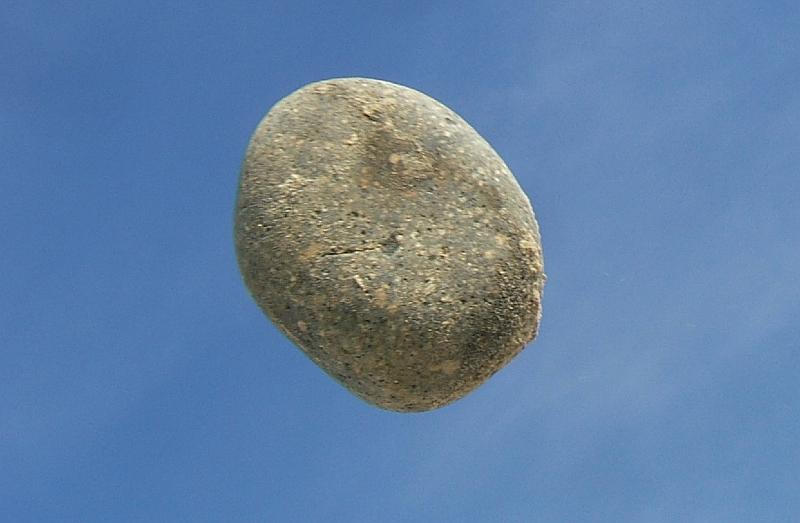 DSCF6921.jpg