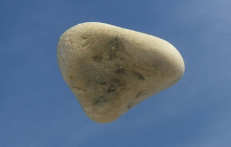 DSCF6923.jpg